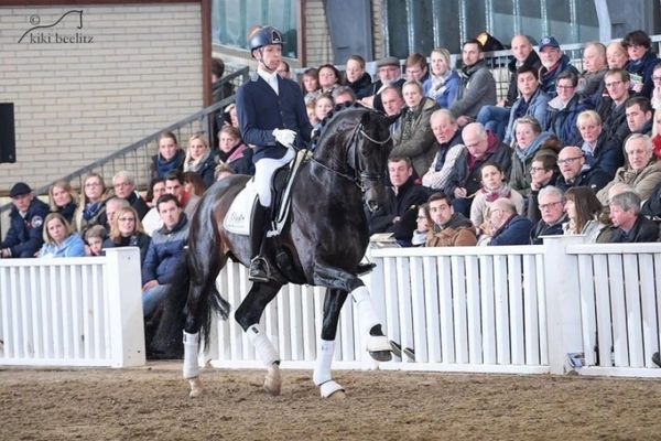 A rider performs dressage on a black horse in front of an audience.