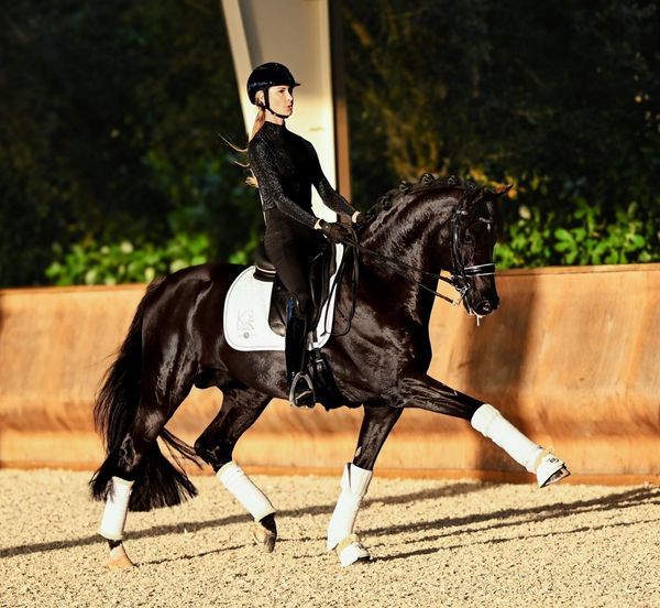 A rider in black attire performing dressage on a black horse with white leg wraps.