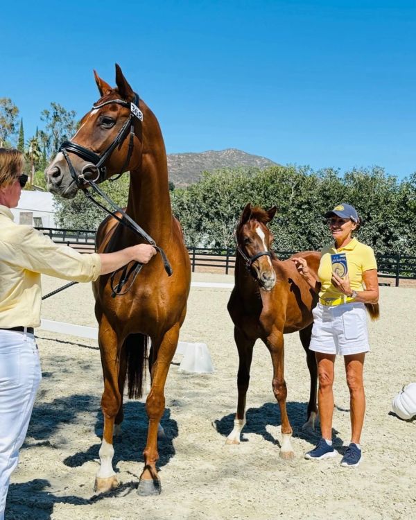 Two people holding a horse and a foal outdoors.