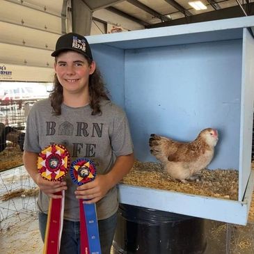 Young person holding ribbons next to a chicken in a pen.