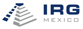 Industrial Realty Mexico