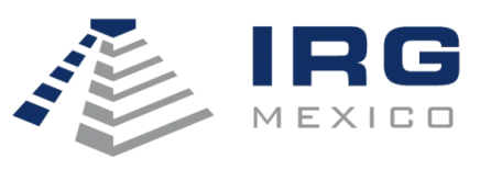 Industrial Realty Mexico