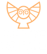 Organise Wise