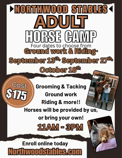 Adult horse camp at Northwood Stables with grooming, riding, and ground work.