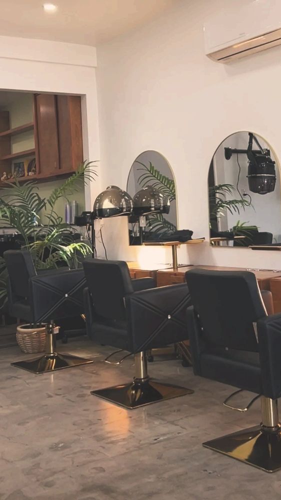 Luxury salon chairs with gold bases. matching mirrors on the wall with plants and hooded hair dryer.