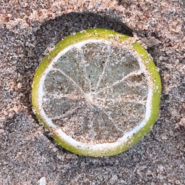 Photo of a lemon slice in the sand