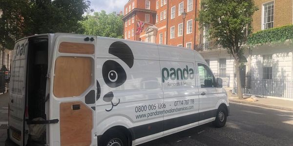 Panda van