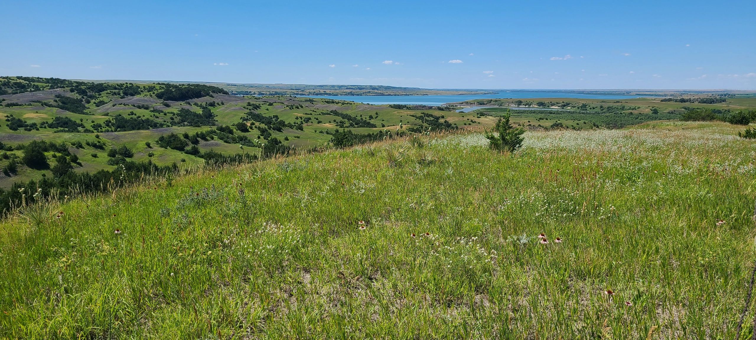South Dakota Land Title Association, Inc.