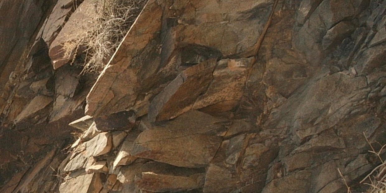 rock people, ancient rocks, ancient stones, learn to speak to rocks, shaman workshop, stone people
