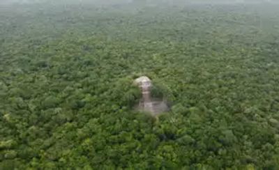 A temple ruins site in the middle of a dense forest.