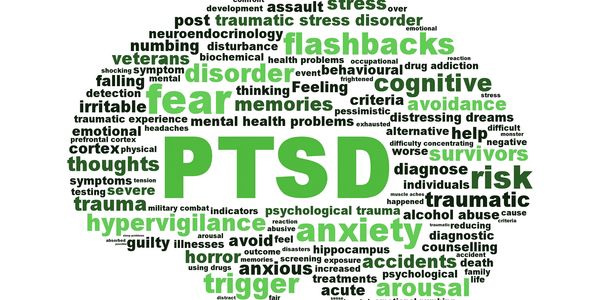 Word map in shape of a brain with PTSD in the center.