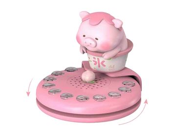 IPcharacter Vehicle License Plate Display Panel