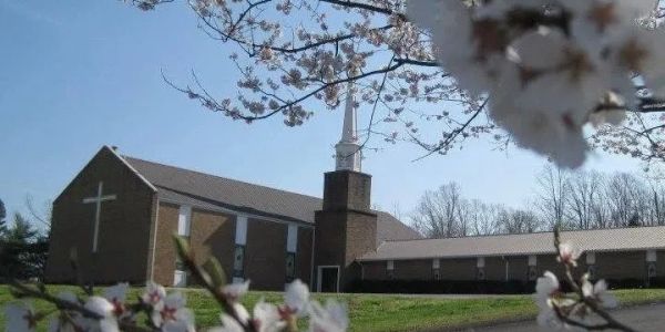 A church building framed by blooming trees.