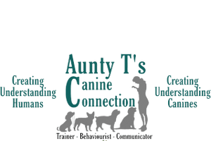 Aunty T's Canine Connection
Trainer - Behaviorist - Communicator