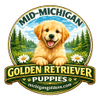 mid michigan golden retriever puppies