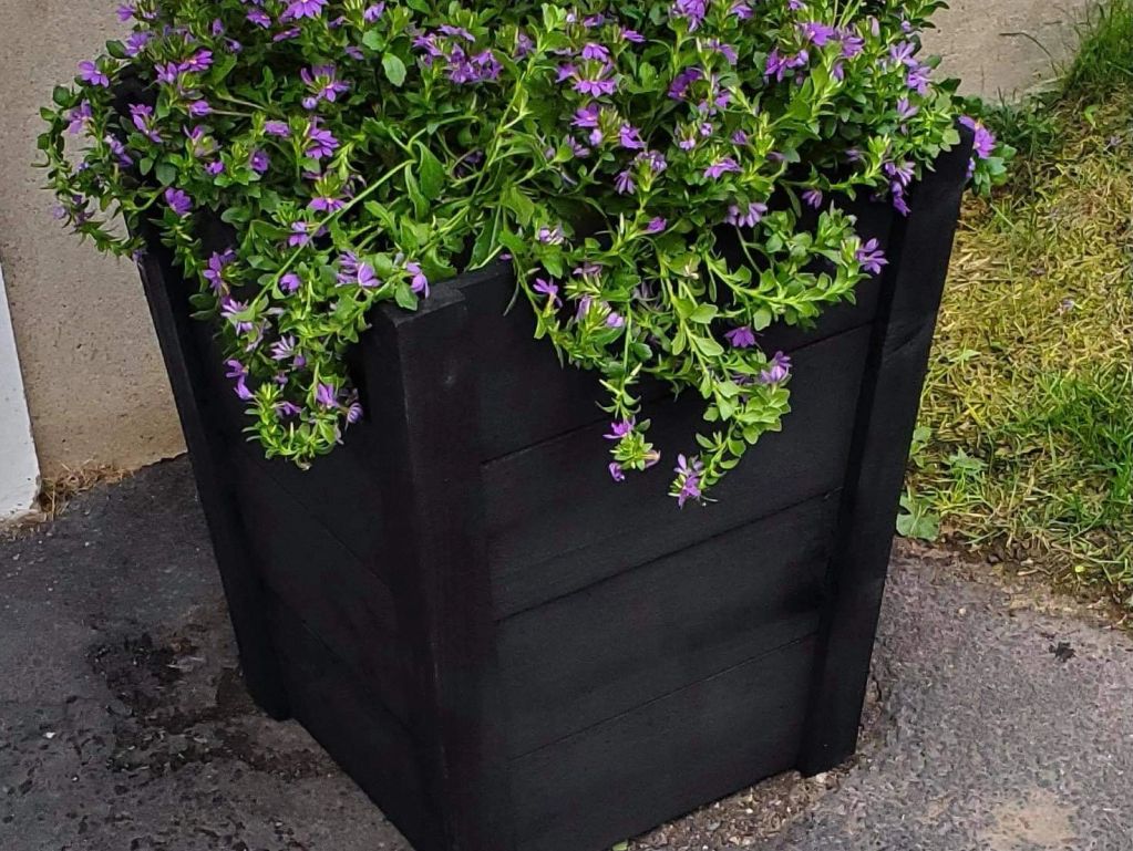 Black wooden planter box with purple flowers on pavement.