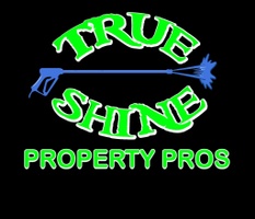 trueshinepropertypros.com