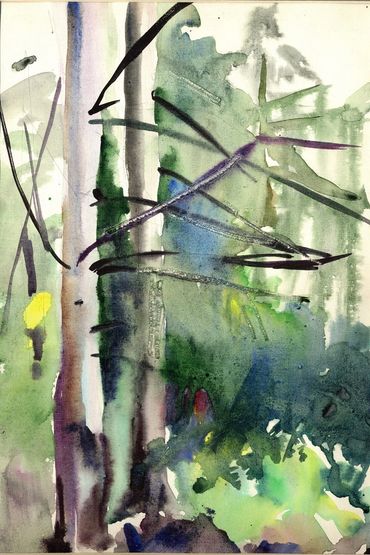 rain, forest, watercolor