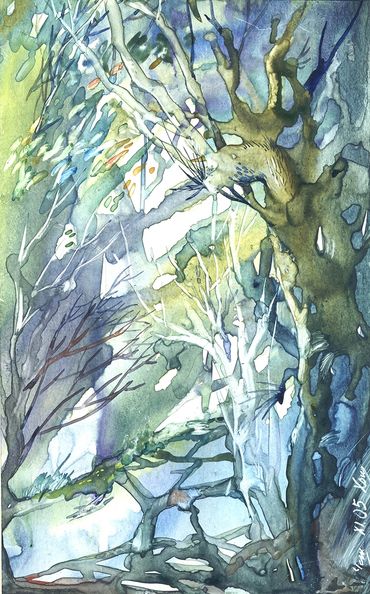 forest, light, morning