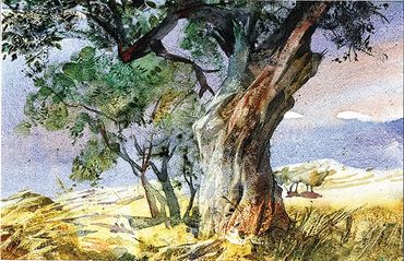 middle east, Israel, olive trees, Theodor Levitin