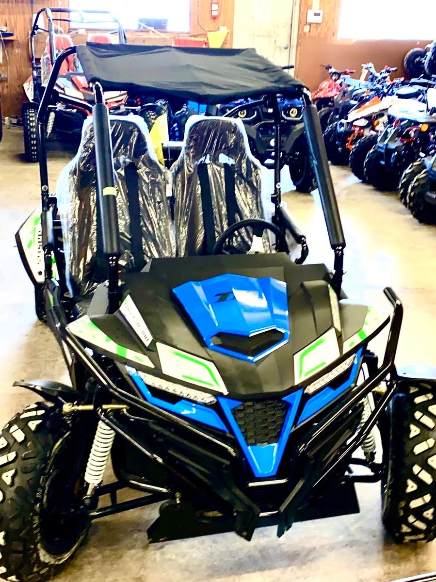 TrailMaster Cheetah 300EX Adult Go Kart