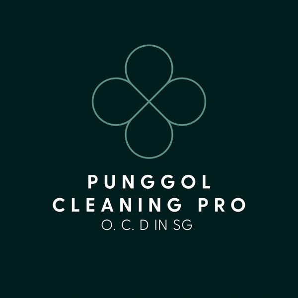 Punggol Cleaning Pro