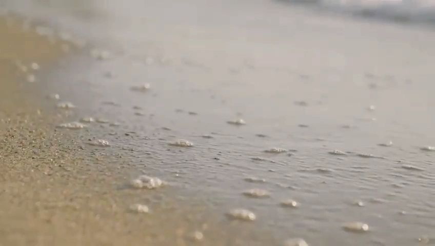 https://img1.wsimg.com/isteam/ip/b62f8b8b-8122-4018-85cc-a3ed2f0d3b72/thumbnails/thumbnail-4d2c04dd-b3f3-4d11-8f93-8397a4f96434.png