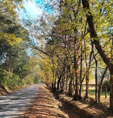 One of several roads leading to Friend's Advice Farm.