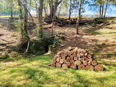 The old springhouse that feeds fresh water into our stocked pond.