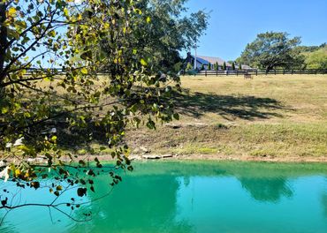 A view of our spring fed pond and a view of the main house.