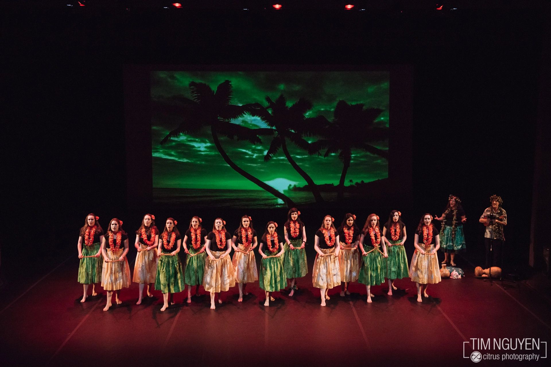 Group performing hula dance on stage with tropical backdrop.