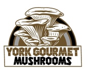 York Gourmet Mushrooms