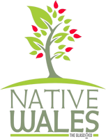 Native Wales
