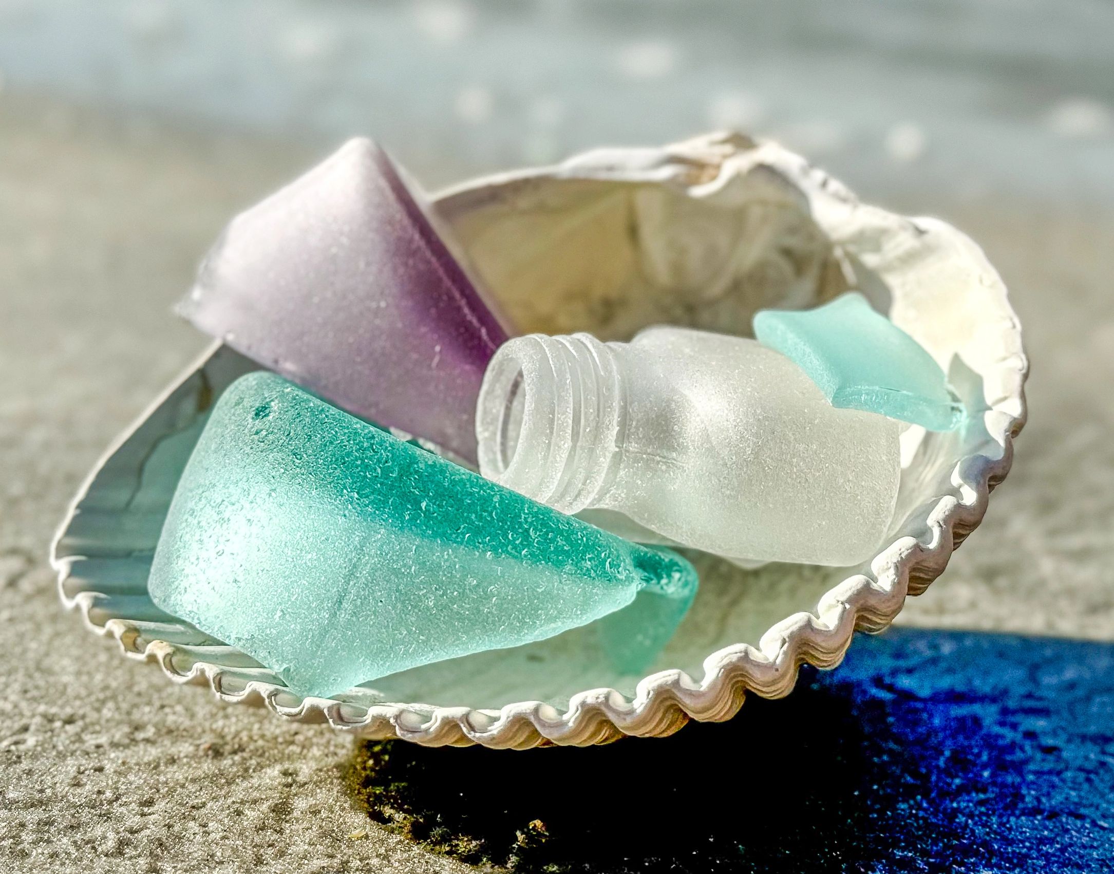 Sea Glass Seashell