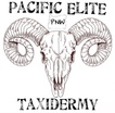 Pacific Elite Taxidermy