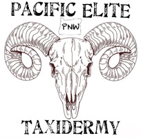 Pacific Elite Taxidermy