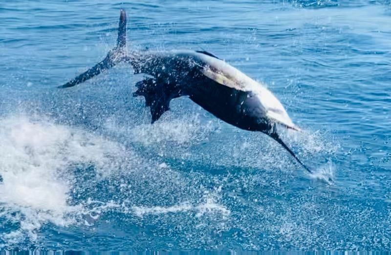 Offshore Tackle & Repair