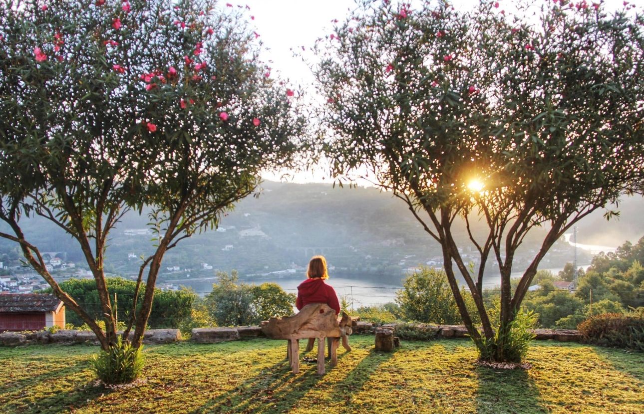 Quinta Da Ventuzela in Cinfães, Portugal
