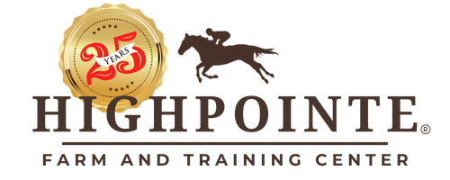 HighPointe LLC