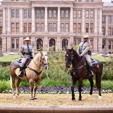 Mounted Patrol International LLC
