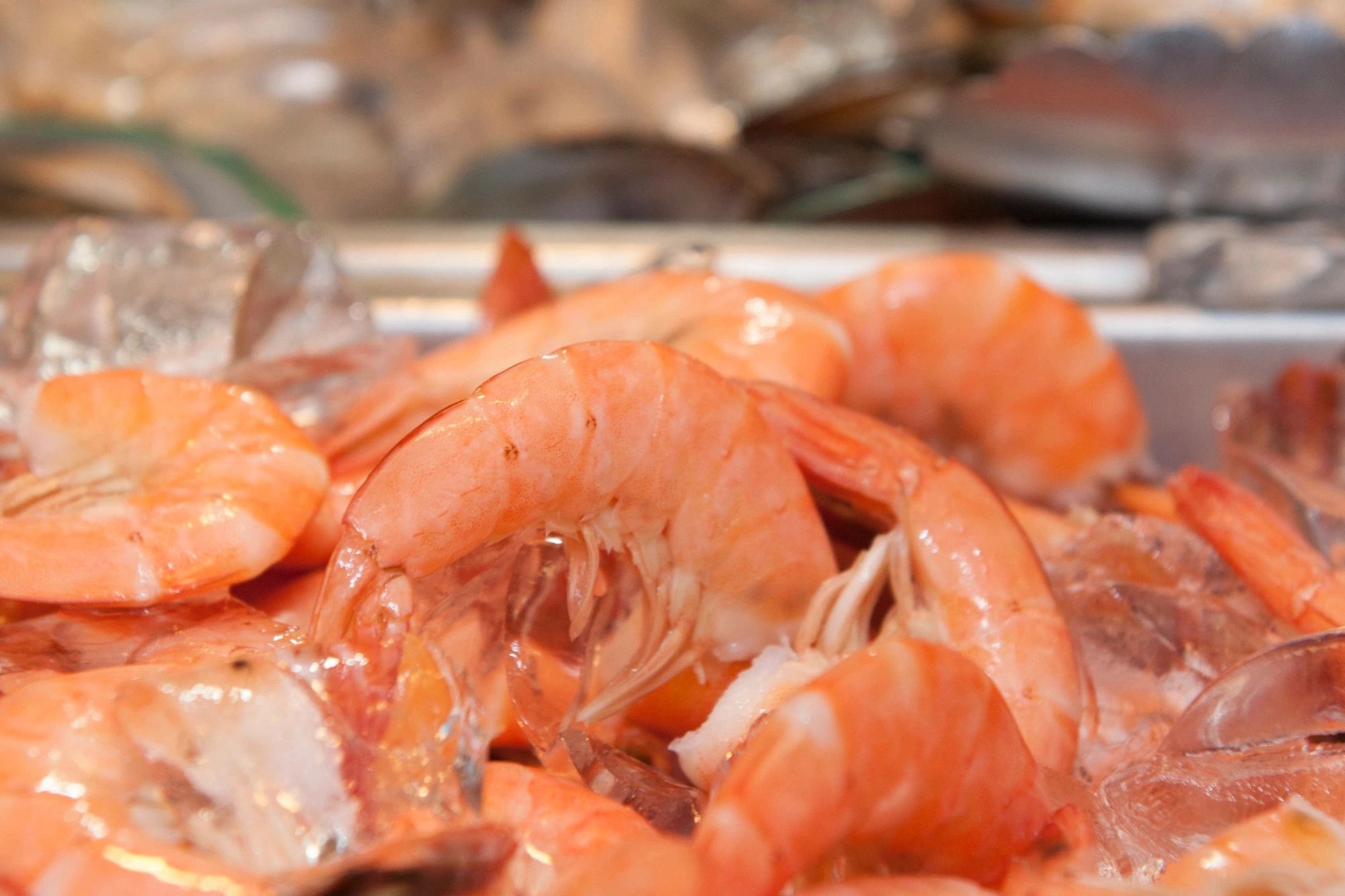 Ocean Buffet Fort Walton Beach