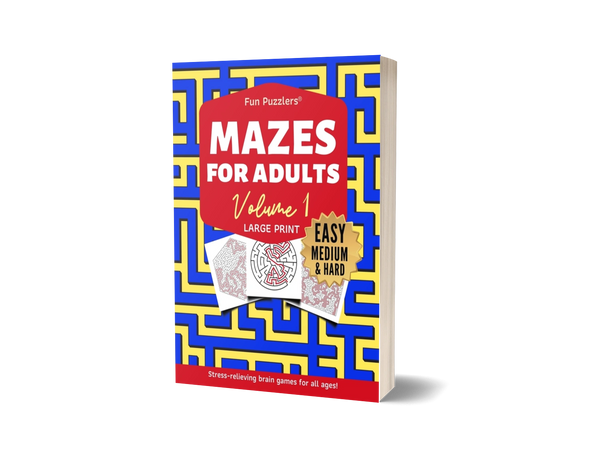 Fun Puzzlers Mazes for Adults