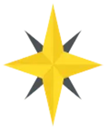 A yellow and black four-pointed star design.