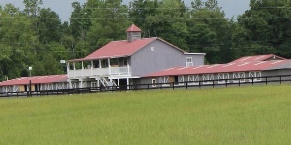 Large horse barn