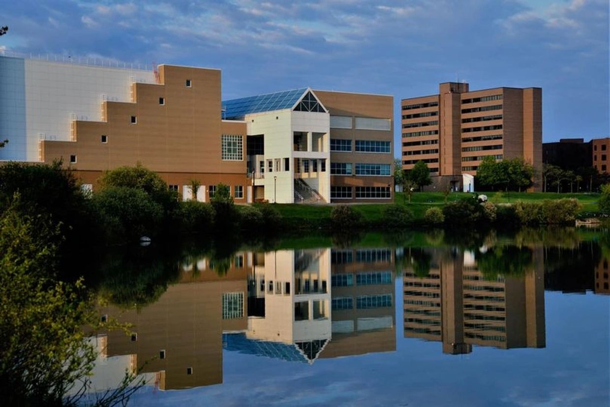 University at Buffalo mu
Mirror image 