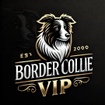 Border Collie Criadero