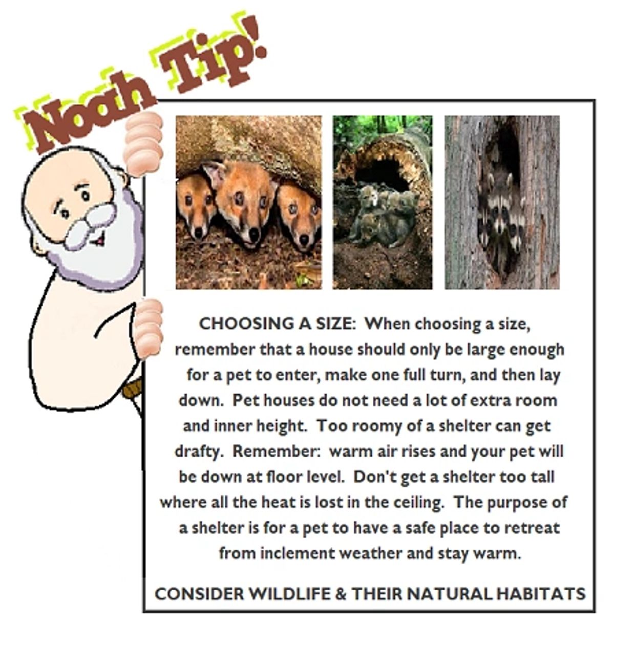 Noah Tip on choosing the right size pet shelter to keep animals safe and warm.