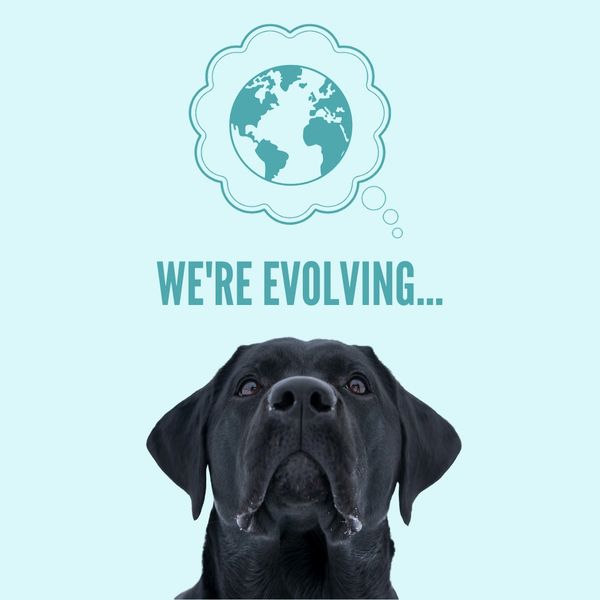 Tip Top Cleaning and Detailing Cleaning Service, Eco Friendly