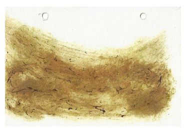 Windows,
Laterite, bilmbli juice and cashew nut shell liquid on paper, 13x9cm each, 2021