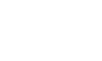 Alticon Developments